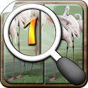 Differences 1: Free Games HD icon
