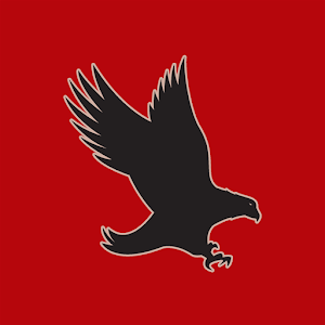 HawkGuard 24 1.0.3