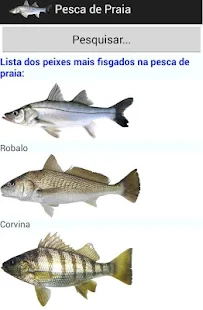 Pesca de Praia - screenshot thumbnail