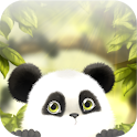 New Panda Chub Live Wallpaper 1.5 (V1.5) Apk Update Version