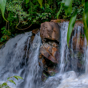 Cachoeira Matilde by Francisco Andrade - Landscapes Waterscapes