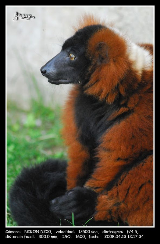 JOS_4434web.jpg