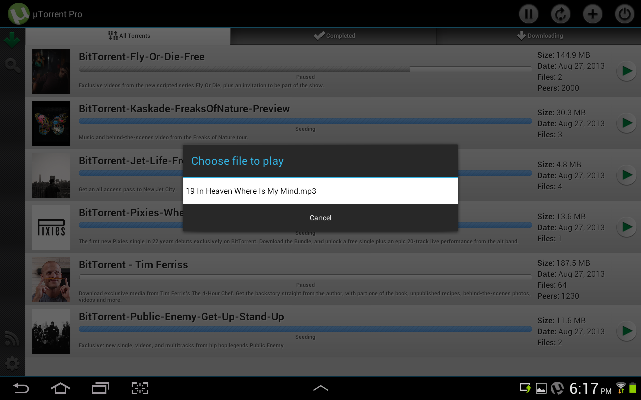 μTorrent ® Pro - Torrent App - Screenshot