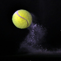 Grand Slam Champions logo