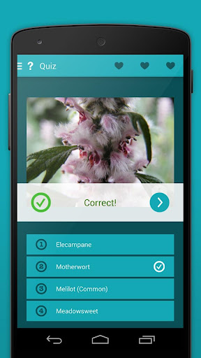 免費下載書籍APP|iKnow Medicinal Plants 2 PRO app開箱文|APP開箱王