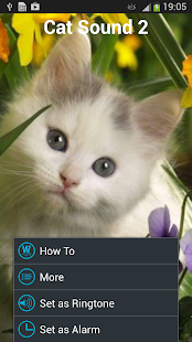 How to download Cat Sounds Ringtones lastet apk for android