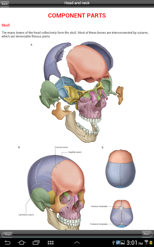 Android application Grays Head and Neck screenshort