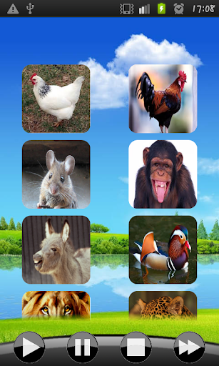 Animal Sounds for kids