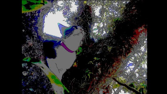 download Hand-Drawn Camera PRO free