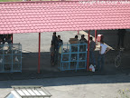 piata04