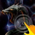 Black Water Snake Year icon