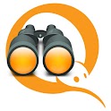 QIWI Observer logo