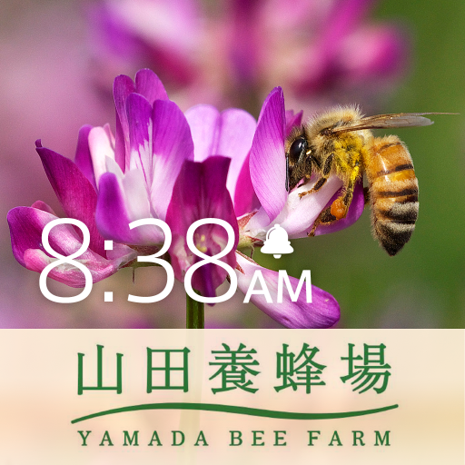みつばち時計～山田養蜂場から里山でミツバチと共に暮らす風景〜 生活 App LOGO-APP開箱王