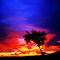 3D lovely sunset logo