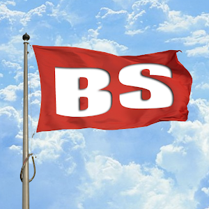 BS Flag logo