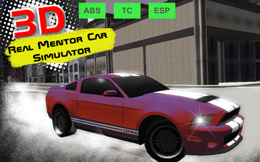 Real Mentor Car Simulator