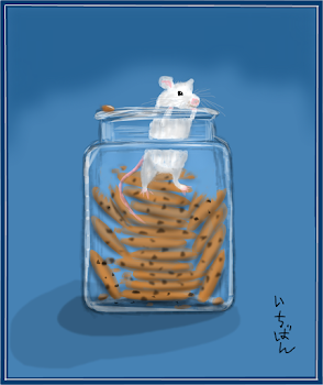 The Cookie Jar