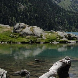 Lac 1.0
