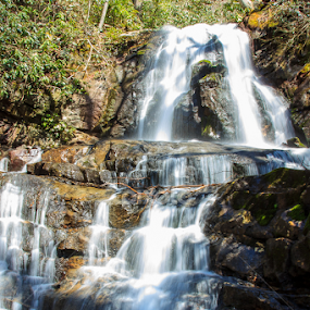 Laurel Falls by Tonya Sheetz - Landscapes Waterscapes