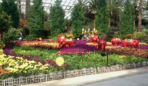 Central Area Of Flower Dome