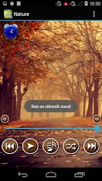 Nature Sounds To Relax Sleep poster 6