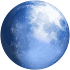 Pale Moon web browser25.9.6