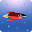 Rocket Download on Windows