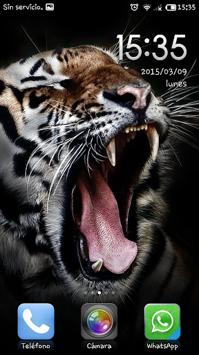 Imagenes de tigres