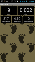 Pedometer by AppNext Level poster 15