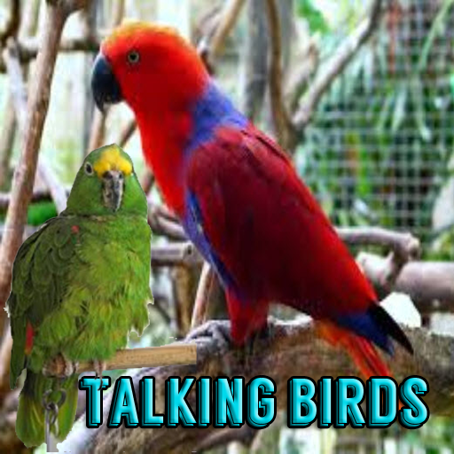 Talking Birds