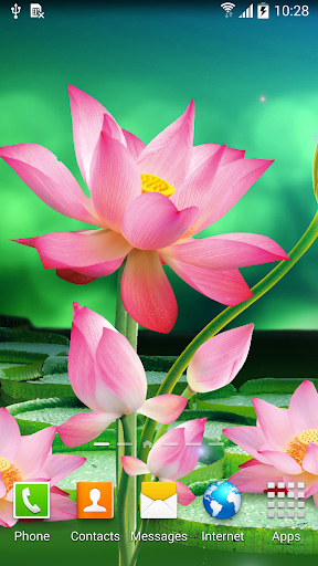 Lotus Live Wallpaper