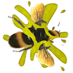 Bee Smasher Apk