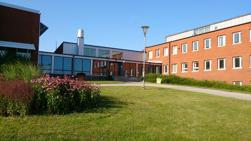 Faculty Of Biology