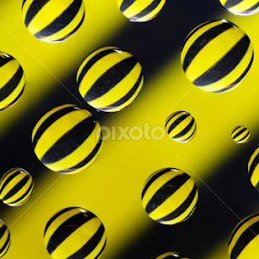 Black and Yellow stripes by Blaž Janežič - Abstract Macro