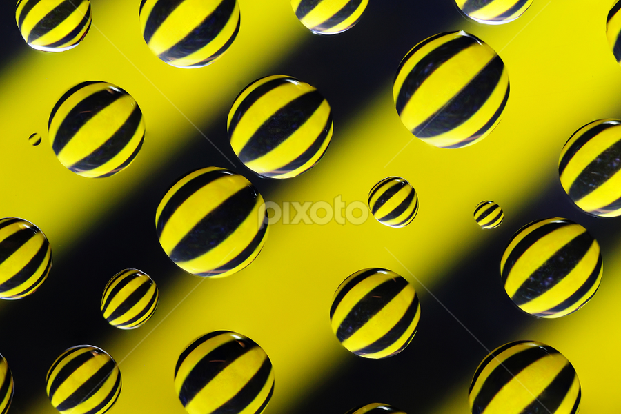 Black and Yellow stripes by Blaž Janežič - Abstract Macro