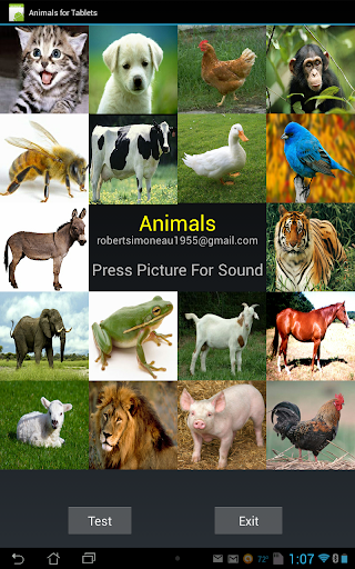 Animals Tablet Edition