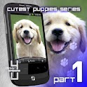 Puppy Sweet Top Live Wallpaper