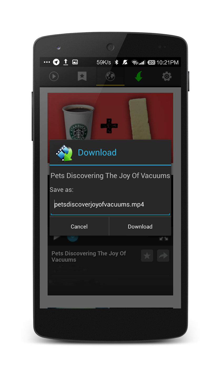 Video Downloader Screen 2