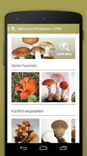 Pilzlexikon 2 PRO Screen 2