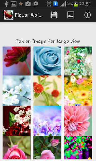 Flower Wallpapers For Free