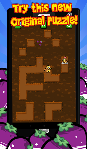 Mole Maze