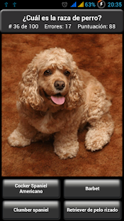 Cuestionario: Razas de perros Screen 3