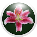 uMayDay logo