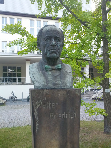 Walter Friedrich