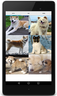 Shiba Inu Sounds (Shiba Dog) Screenshots 0