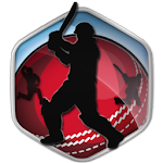Box Cricket International 2016 Apk
