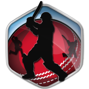 Box Cricket International 2014 for PC and MAC