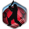 Box Cricket International 2016 Game icon