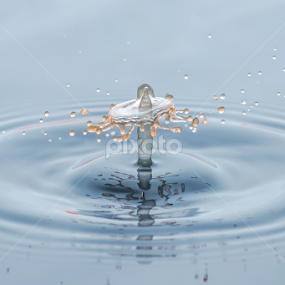by Cikgu Al - Abstract Water Drops & Splashes