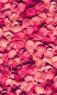 Petals live wallpaper Screenshots 8